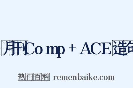 月刊Comp+ACE造句是什么意思的图片
